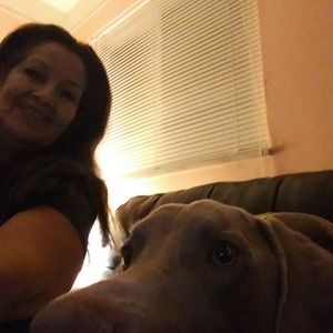 Meet your Posher, Robin